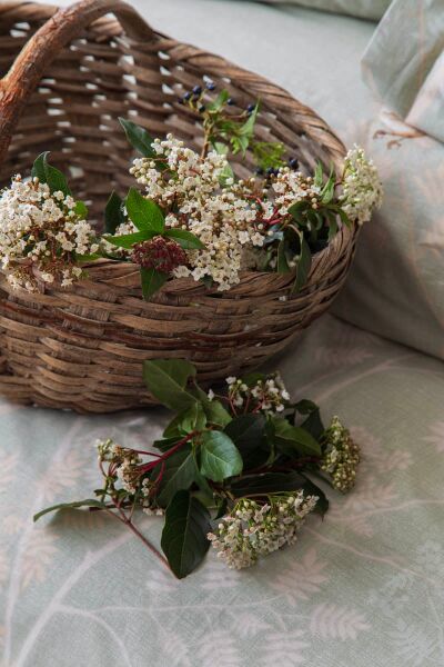 ELYSİAN ADAÇAYI ÇİFT KİŞİLİK NEVRESİM TAKIMI