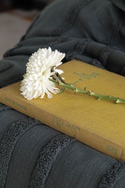 STAMPİNO TRİKOLU ÇİFT KİŞİLİK NEVRESİM SETİ - PETROL