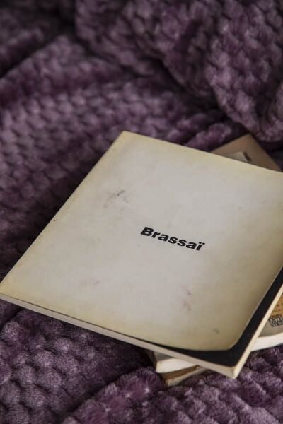 TRUSTY JAKAR DESEN TEK KİŞİLİK BATTANİYE 160x220CM - MÜRDÜM