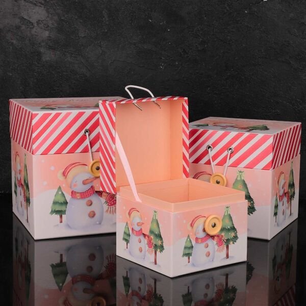 3LÜ YENİ YIL KARDAN ADAM VE ÇAM AĞAÇ TEMALI DEKORATİF KUTU SET