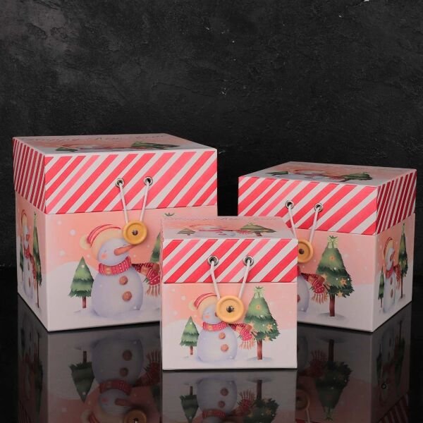 3LÜ YENİ YIL KARDAN ADAM VE ÇAM AĞAÇ TEMALI DEKORATİF KUTU SET