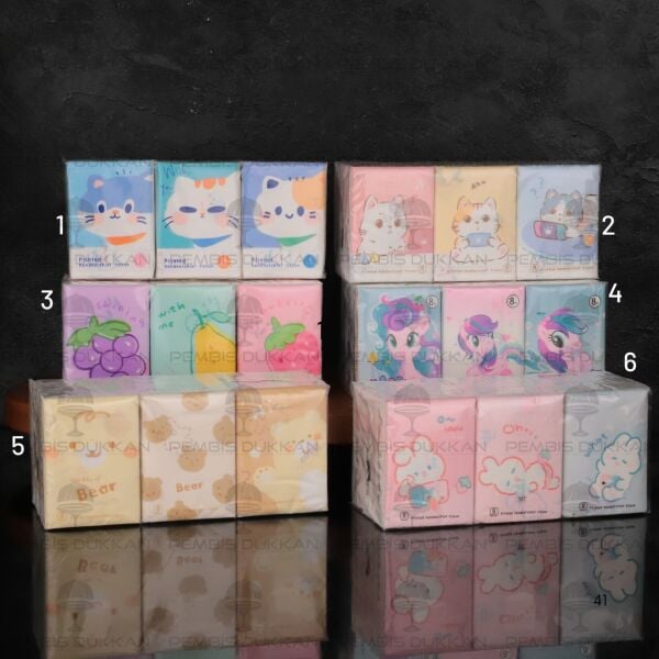 9LU SEVİMLİ KARAKTER DESENLİ CEP BOY PEÇETE (DESEN SEÇİN) NO:2