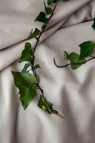 TANYA BAMBU ÇİFT KİŞİLİK PİKE TAKIMI - BEJ