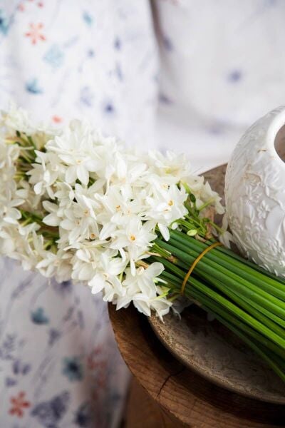 PAPİLLO ÇİFT KİŞİLİK COMPLETE SET - TURKUAZ