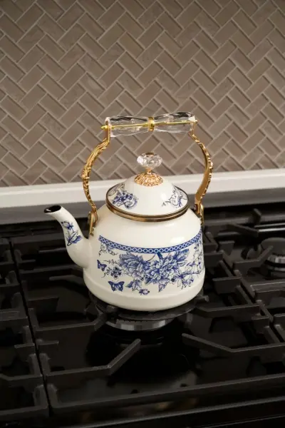 BLUE LİFE EMAYE KETTLE