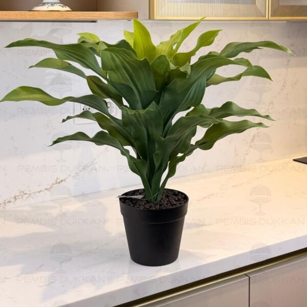 60CM BRAZİLWOOD YAPAY ÇİÇEK