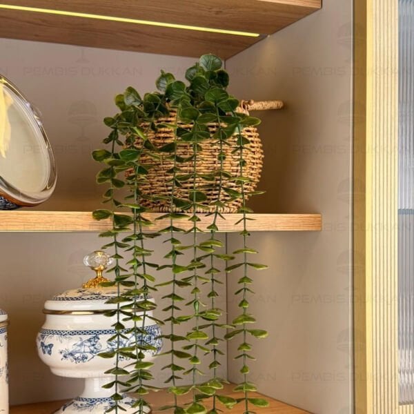 55CM SARKAN YAPAY ÇİÇEK RATTAN KOMBİN (1570)